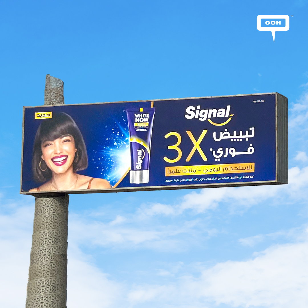 Signal Keeps It Simple and Striking on Egypt’s Outdoor Advertising Scene