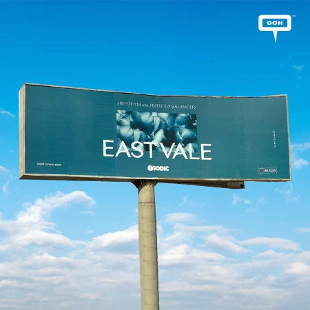 East Vale Brings a Different Pace to Cairo’s OOH Scene
